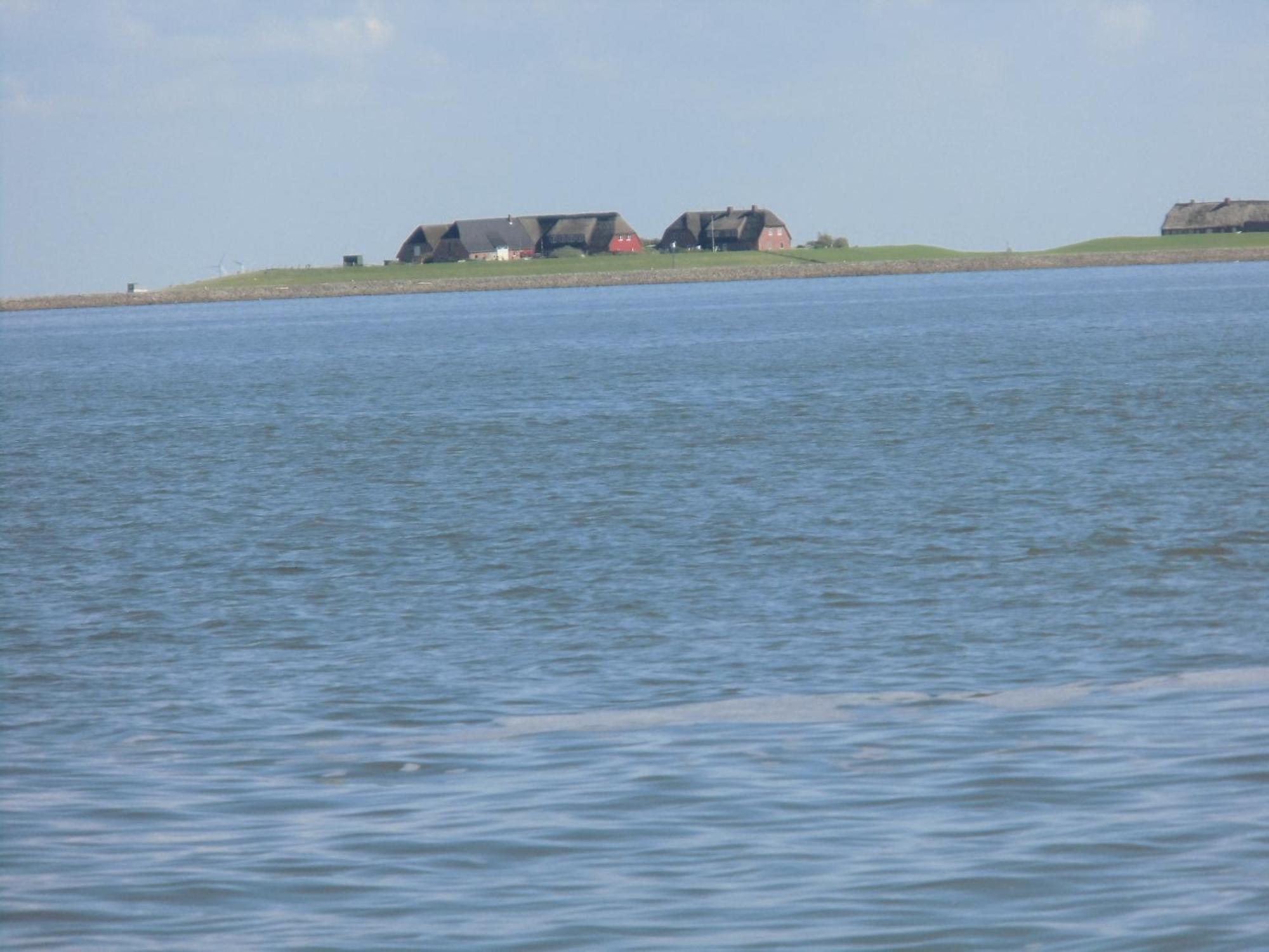 Friesenhaus Am Meer Dagebüll Zewnętrze zdjęcie