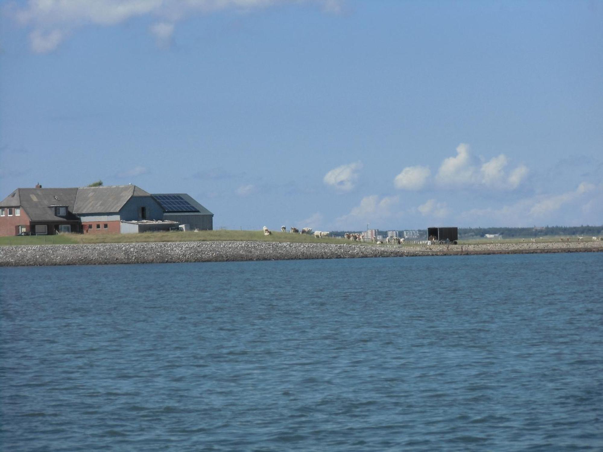 Friesenhaus Am Meer Dagebüll Zewnętrze zdjęcie
