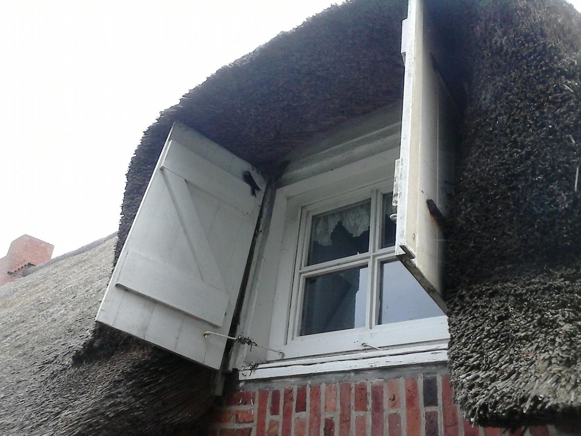 Friesenhaus Am Meer Dagebüll Zewnętrze zdjęcie